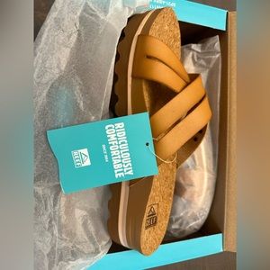 Cute brown platform reefs